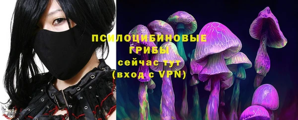 ECSTASY Вязьма