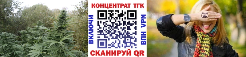 Купить где  Купино  Дистиллят ТГК Wax 